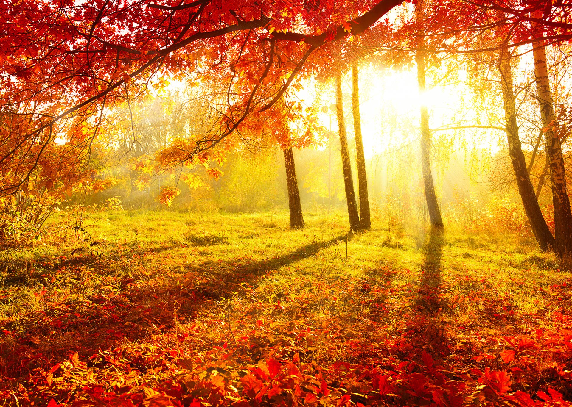 4 tipy pro barevné podzimní fotografování